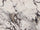Grijs glans 120x120 cm