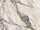 Grijs glans 60x120 cm