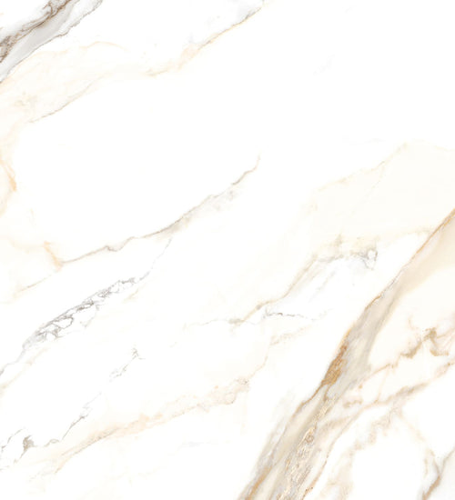 Vloertegel Huismerk tegels 30x60cm