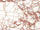 Rood glans 120x120 cm