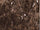 Bruin glans 60x120 cm