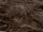 Bruin glans 160x320 cm