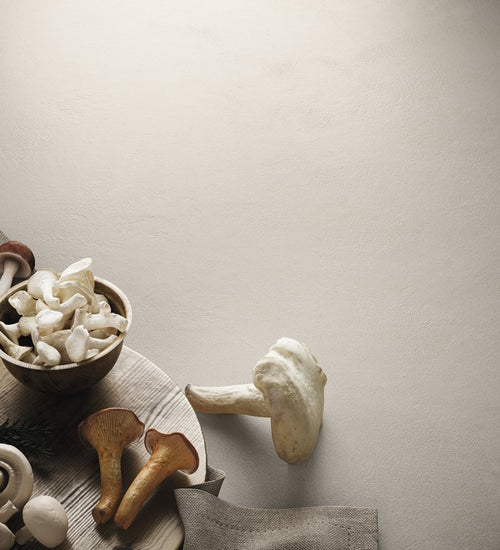 Vloertegel Carmen Argillae Neve Rect 60x12 cm 0