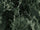 Groen glans 60x120 cm
