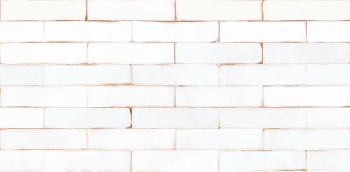 Wandtegel Ceramica Antiga Bali Snow White 6x25 cm