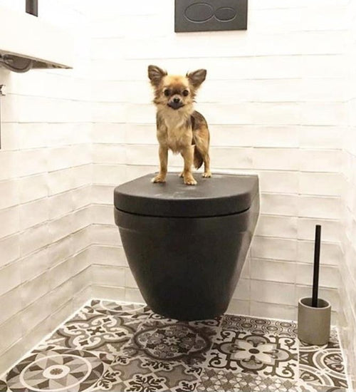 Sampletegel Natucer Cotswold  Bianco