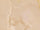 Beige glans 120x120 cm