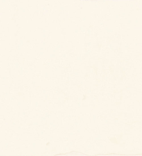 Wandtegel Carmen Souk Bone 13x13 cm