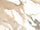 Beige glans 60x120 cm