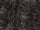 Zwart glans 120x278 cm